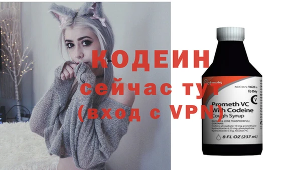 трава Тавда