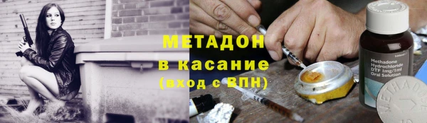 трава Тавда
