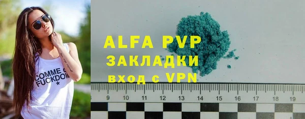 трава Тавда