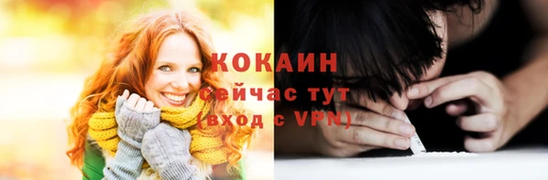 трава Тавда