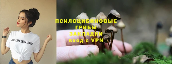 трава Тавда