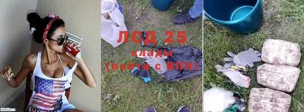 винт Тайга