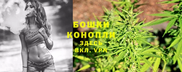 винт Тайга