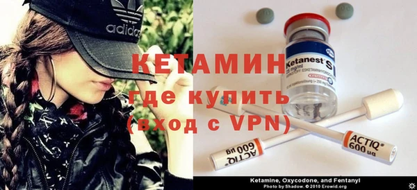 трава Тавда