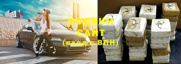 винт Тайга