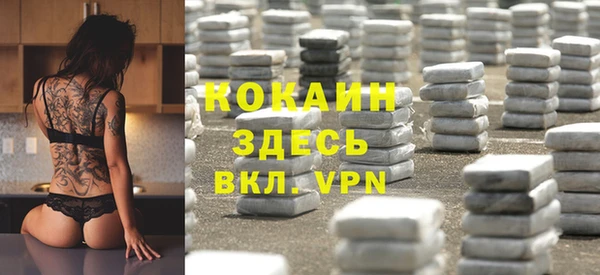 винт Тайга