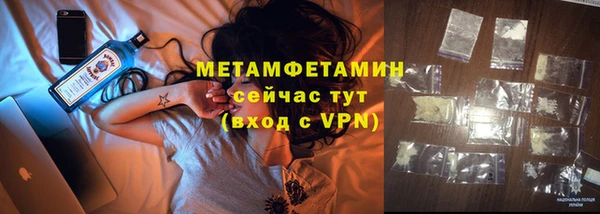 трава Тавда