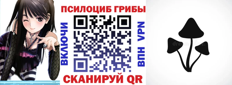 Галлюциногенные грибы мицелий  где продают   Фатеж 